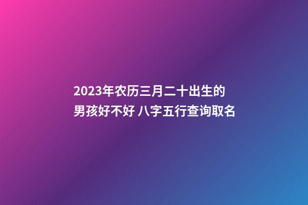 2023年农历三月二十出生的男孩好不好 八字五行查询取名